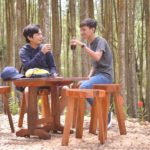pinusmangunan6