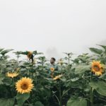 tikungan cinta boyolali