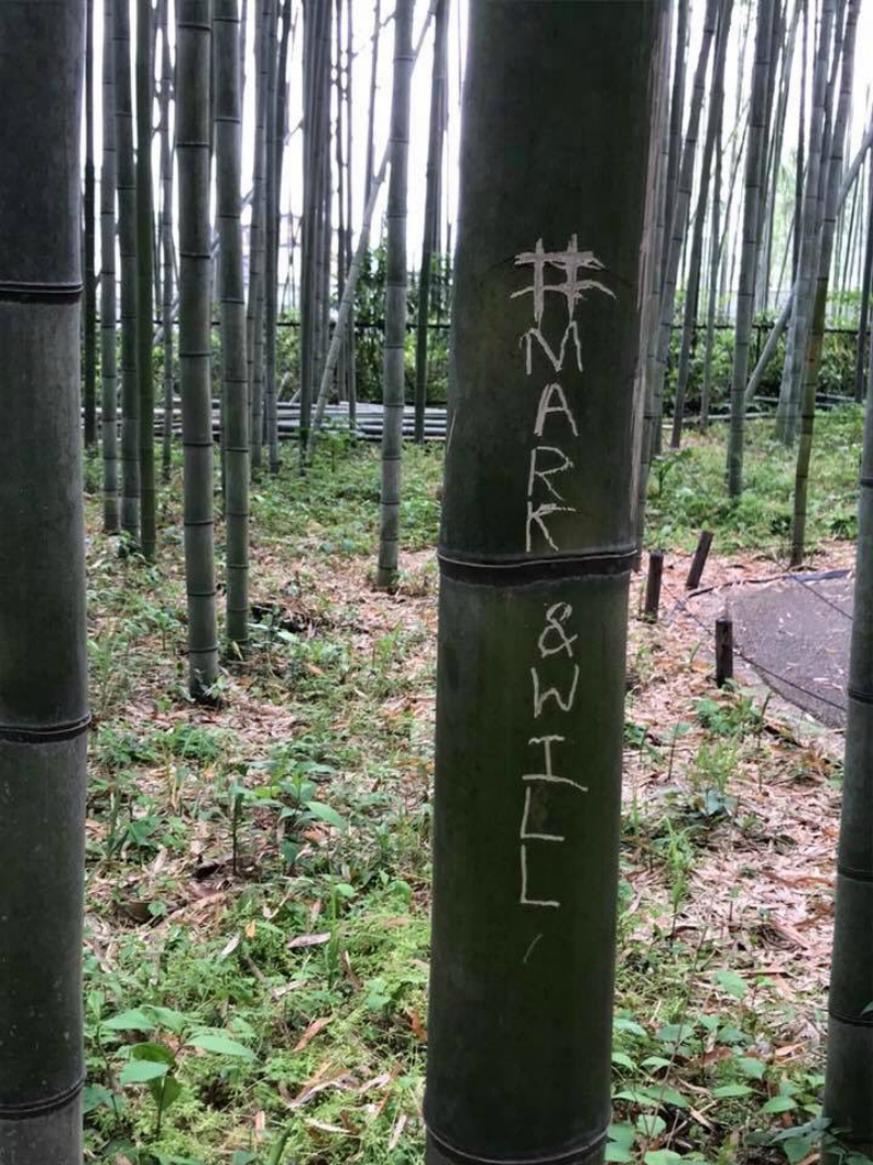 hutan bambu Arashiayama