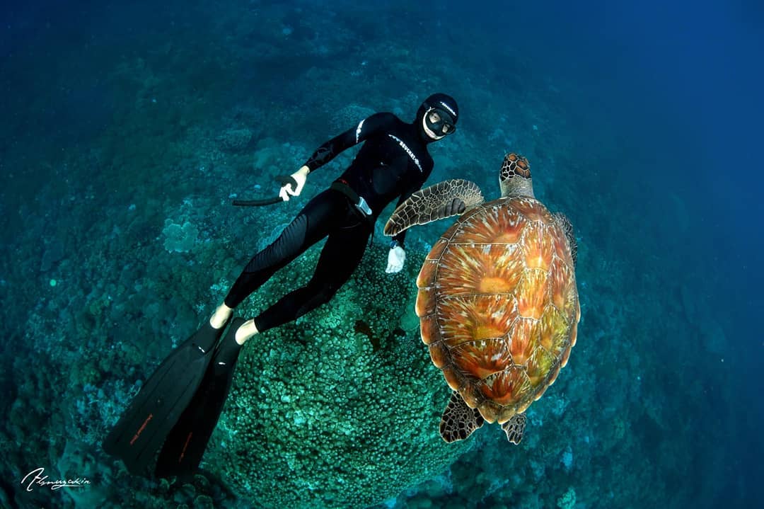 Pantai Sulamadaha