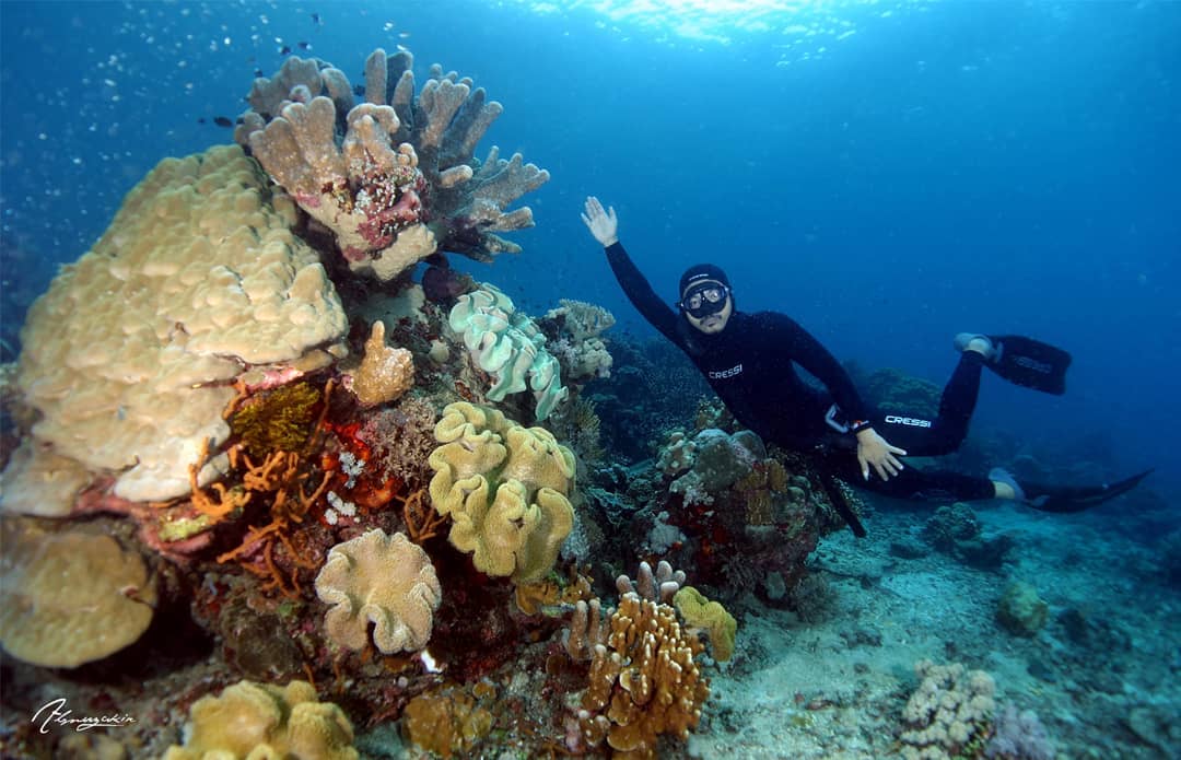 Pantai Sulamadaha