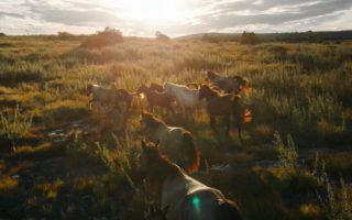 Pulau Kambera Waingapu