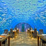 restoran aneh dan konyol di dunia