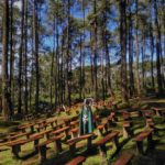 Orchid Forest Cikole Lembang