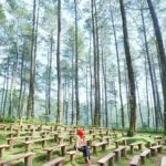 Orchid Forest Cikole Lembang