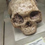 suku tertua di indonesia