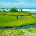 wisata pantai selatan di jawa tengah