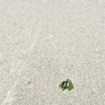 Pantai Ujung Genteng