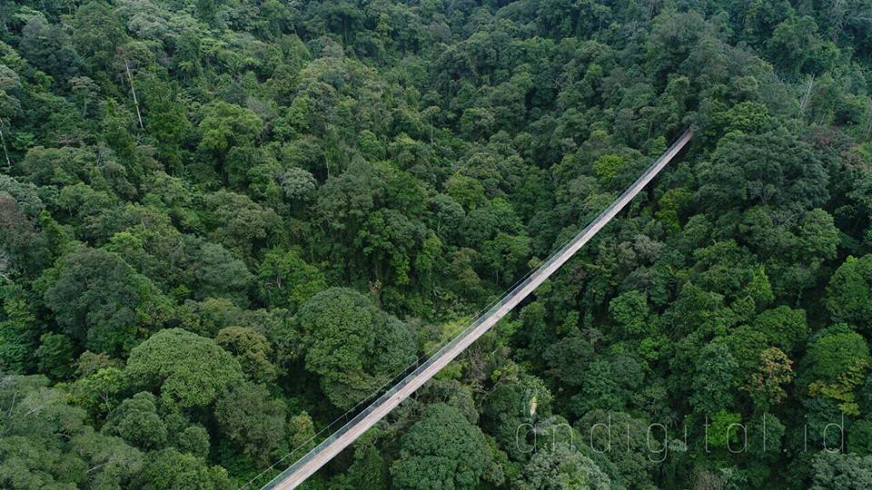 Jembatan Situ Gunung Sukabumi Jembatan Gantung Terpanjang