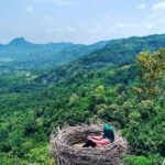 Bukit-Jomblo-Tulungagung