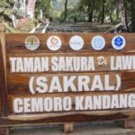 Taman Sakura Lawu