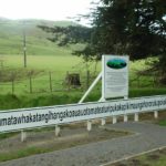 bukit di selandia baru