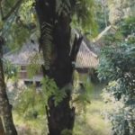 villa ahmad dhani