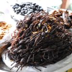 24126601_128229931288367_8639655998161682432_n