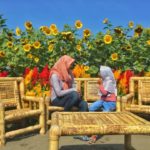 perengan park bantul