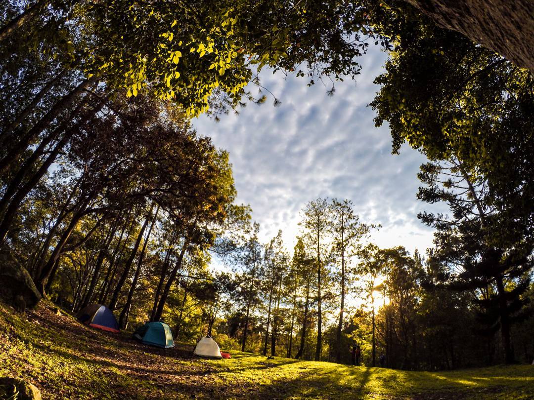 Tempat Camping Seru di Bogor