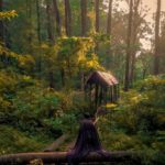 Kawasan Konservasi Masigit Kareumbi