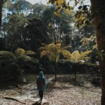 Kawasan Konservasi Masigit