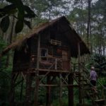 Kawasan Konservasi Masigit Kareumbi