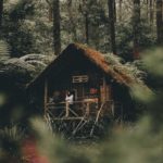 Kawasan Konservasi Masigit Kareumbi