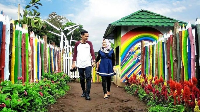 4 Taman Bunga Celosia Ini Hadir Di Jawa Tengah Dan