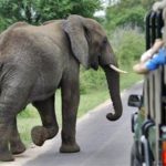 orang paling kaya di asia