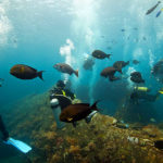 taman laut Indonesia 6