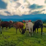 28434021_157604484950595_3778460846879932416_n