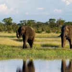 destinasi wisata zimbabwe