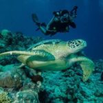 taman laut indonesia