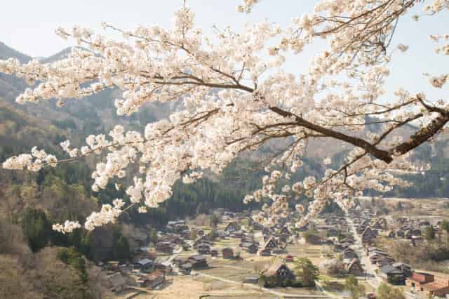 cara menuju shirakawa-go dari tokyo