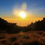 sabana taman nasional gunung merbabu