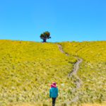 taman nasional gunung merbabu