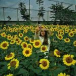 sky garden bandung2 (1)