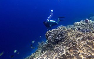 Pulau Kambing Tanjung Bira
