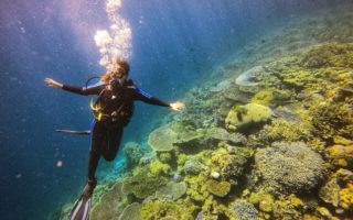 wakatobi