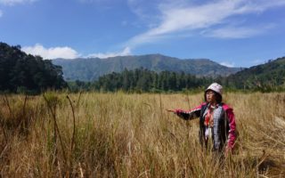 ilalang telaga pengilon