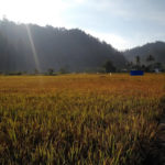 Wisata Agusen Gayo Lues