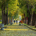 festival indonesia di rusia