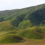 bukit teletubbies bromo terbakar
