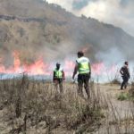 bukit teletubbies bromo terbakar