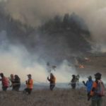 bukit teletubbies bromo terbakar
