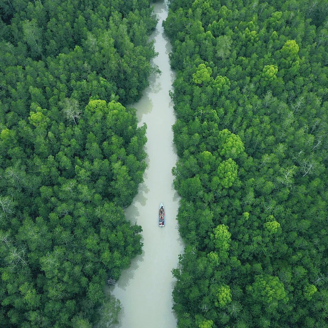 Mangrove Munjang Kurau Barat