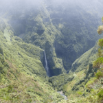 Réunion National Forest, Madagascar