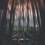 wisata kampung ciherang