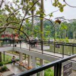 Anthology-Sentul-Bogor