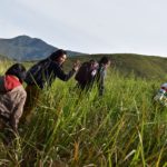 Bukit-sitalmak-talmak-samosir-2