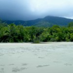 Daintree Rainforest