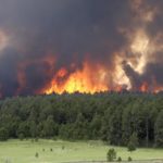 cara mencegah kebakaran hutan di gunung