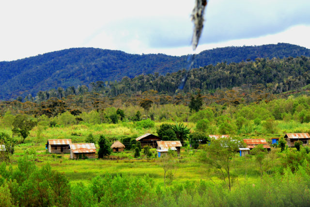 Rumah Kaki Seribu Pesona Kekayaan Kultural Rumah Adat Papua Barat